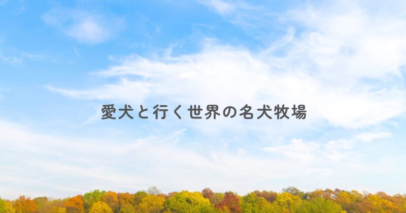 秋の空