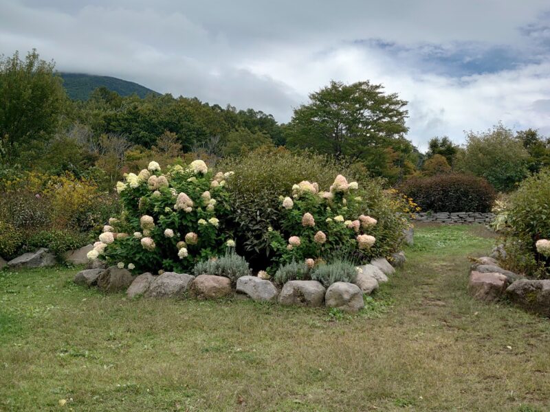 山頂ロックガーデンの中