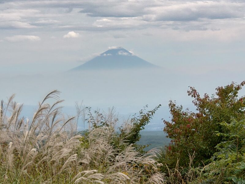 展望台から見る富士山
