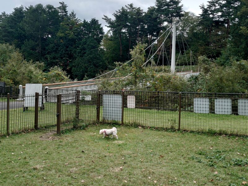 安曇野公園のドッグラン