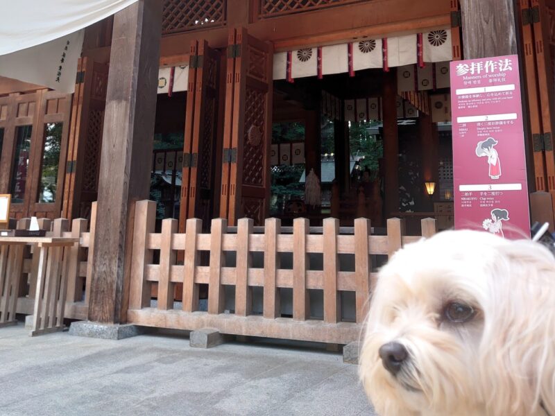 穂高神社と愛犬