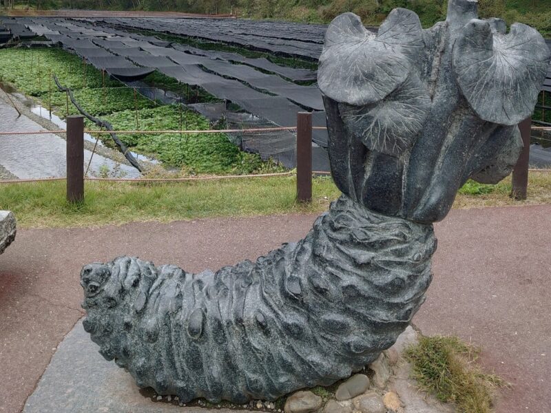 わさびのオブジェ