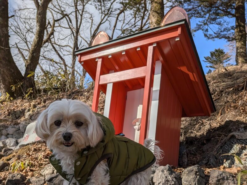 王皇神社の台座に乗る犬
