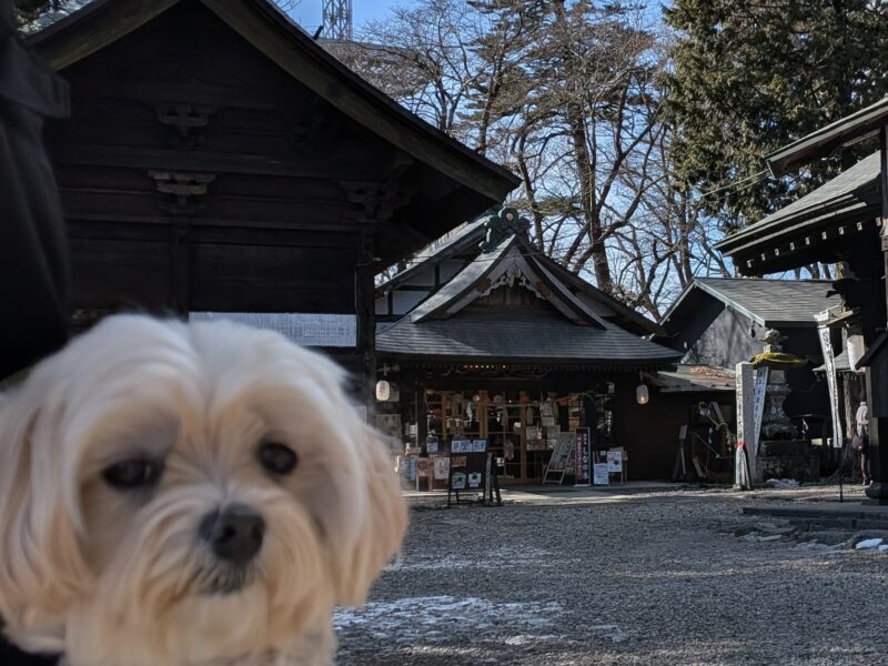 熊野神社の社務所