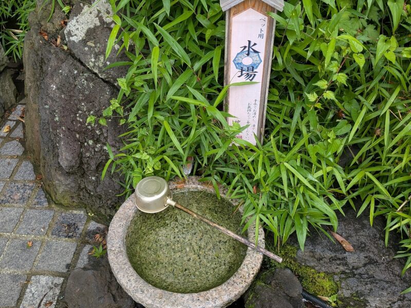 神祇大社　犬用手水舎